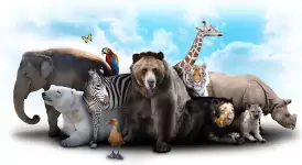 Dierentuinen Nederland