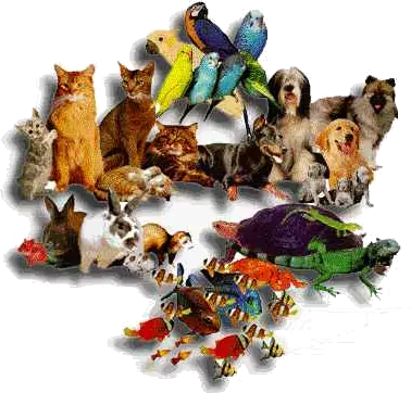 Dieren fotowedstrijden Fotowedstrijd Vakantie