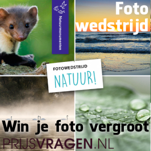 win-een-uitvergroting-van-jouw-natuurfoto-van-pixum