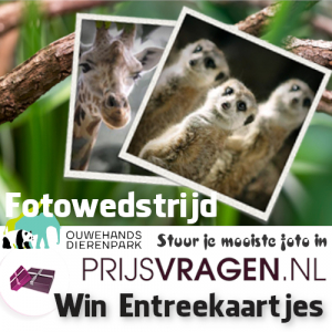 win-entreekaarten-voor-ouwehands-dierenpark